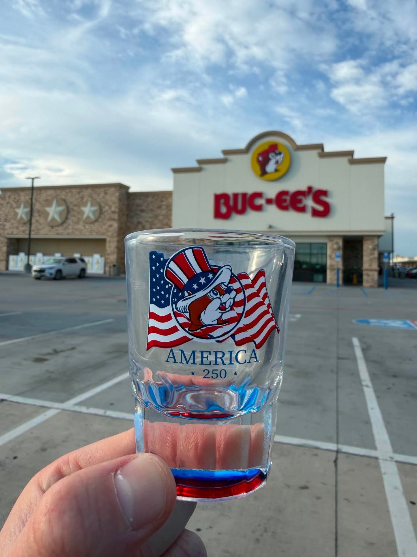 POUR DOMINIQUE (BUC-EES VIRGINIA)