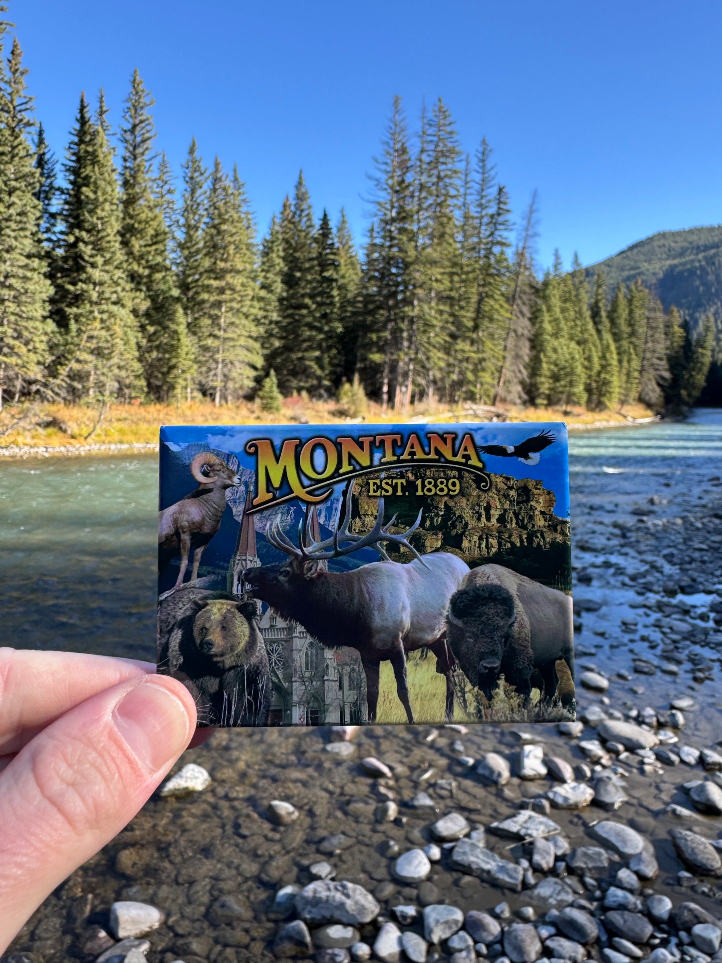 Magnet du Montana