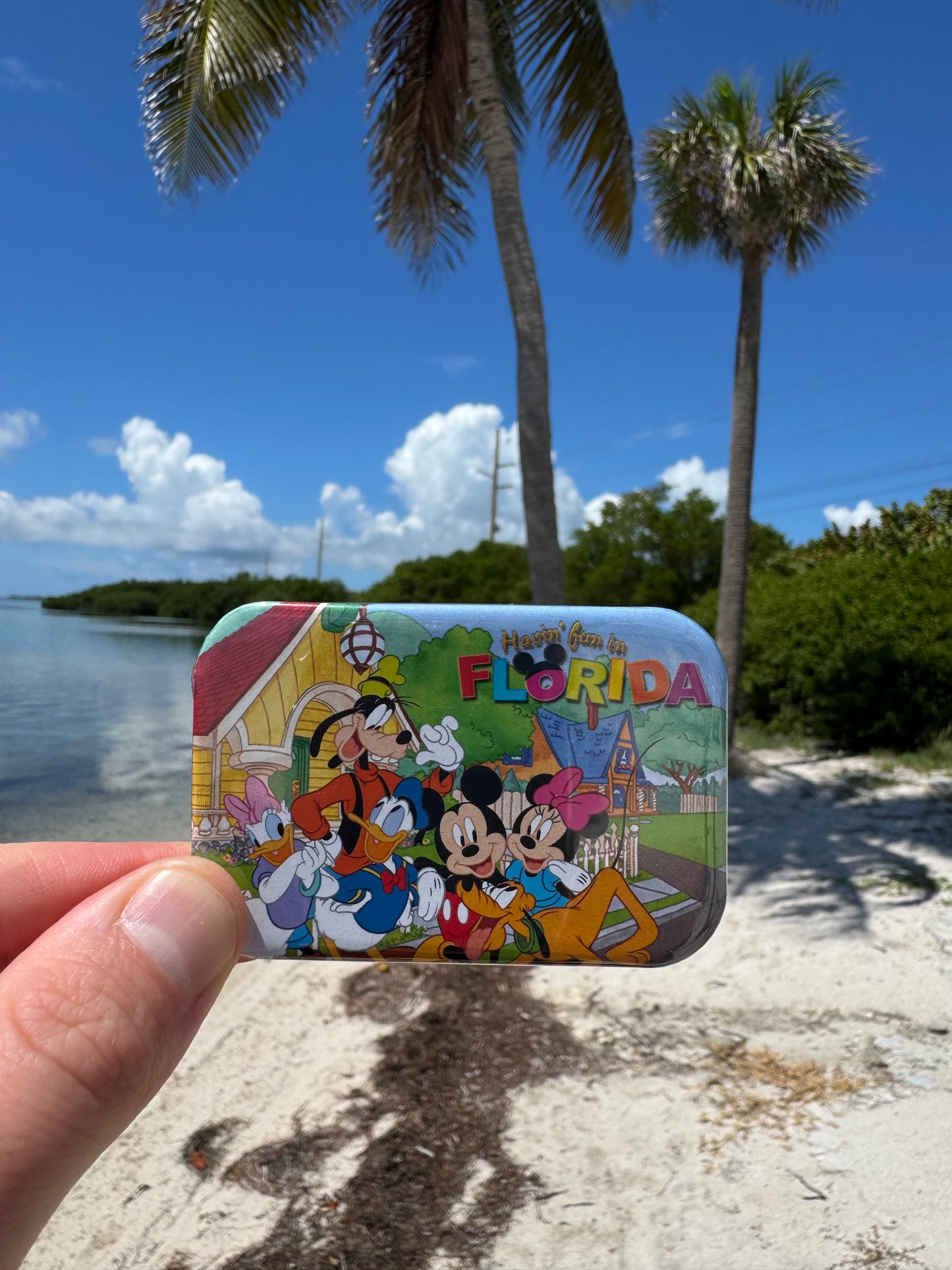 Magnet Disney Florida