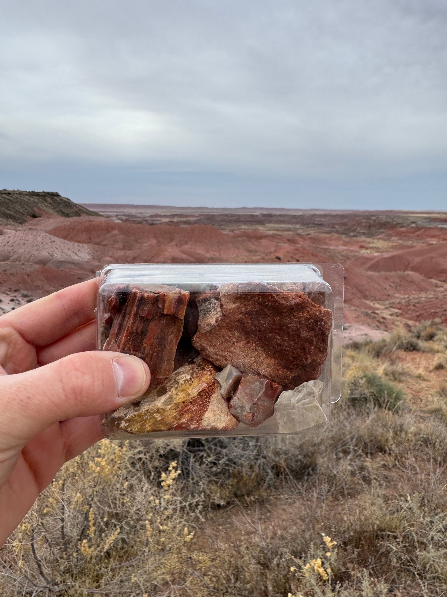 Boîte de véritable bois pétrifié provenant d’Arizona