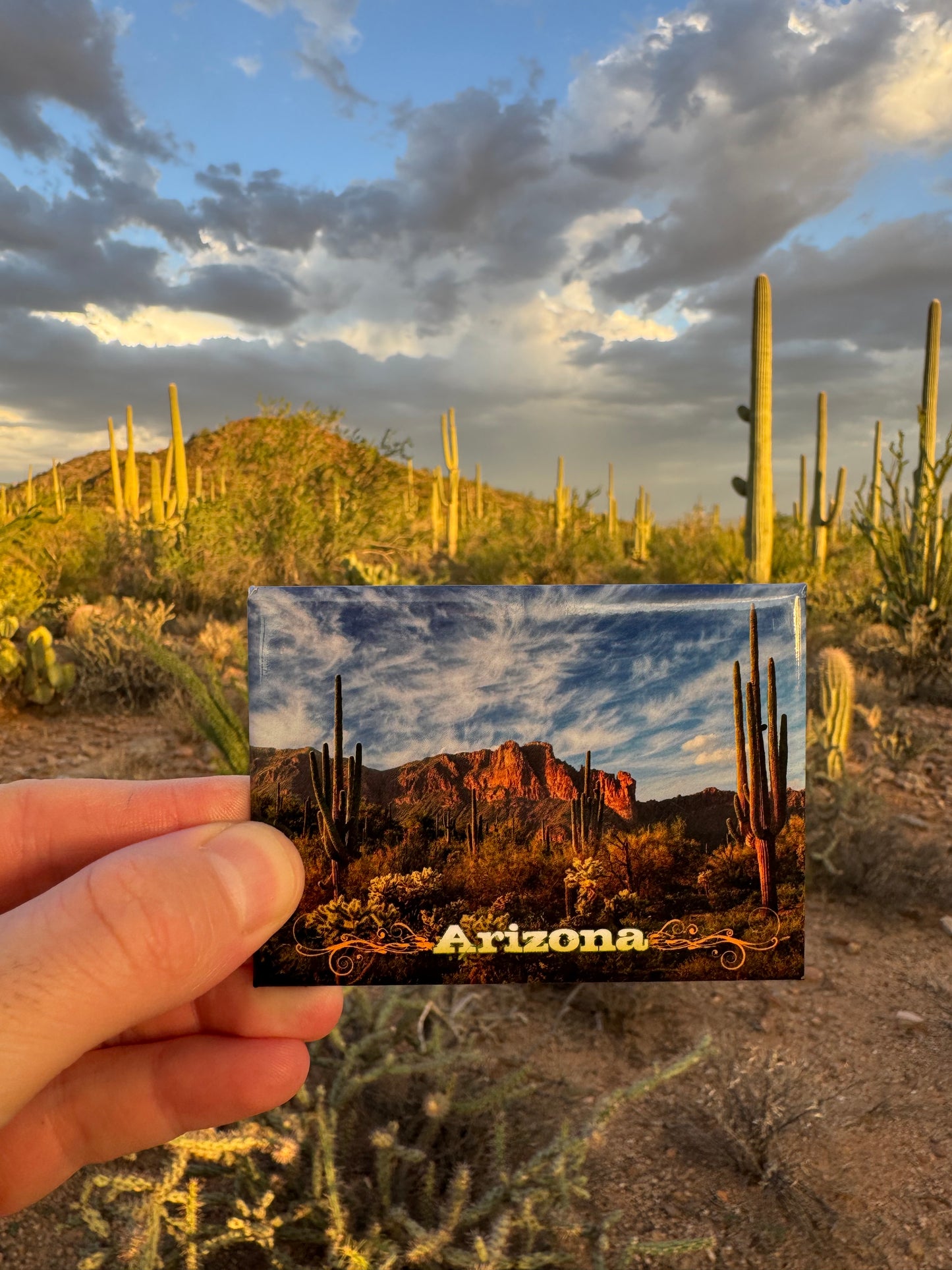 Magnet Arizona
