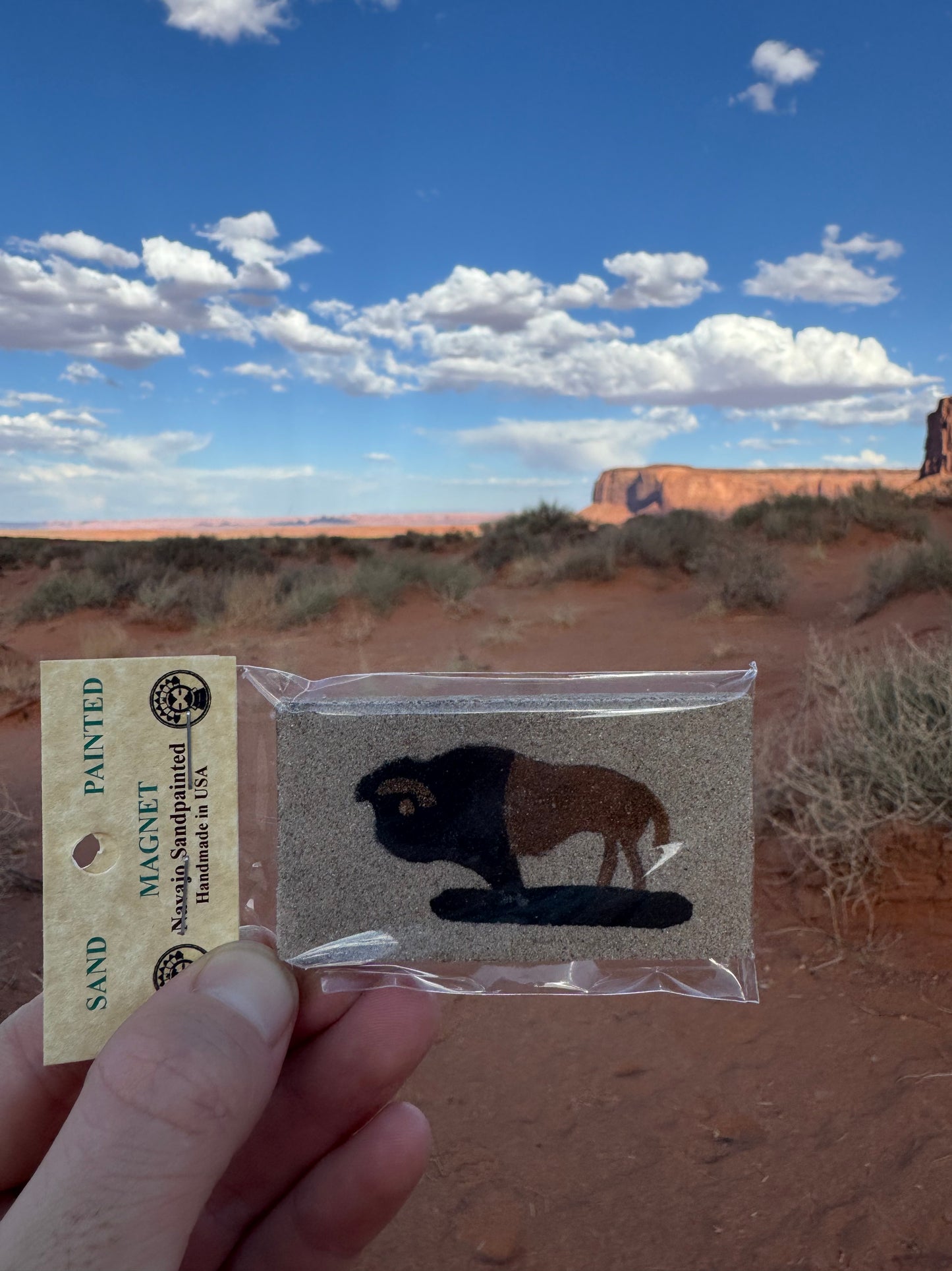 Magnet Navajo peint à la main provenant d’Arizona