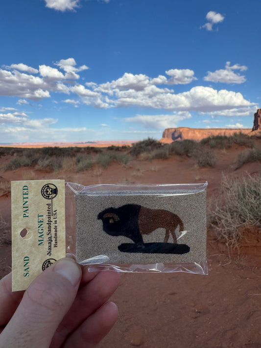 Magnet Navajo peint à la main provenant d’Arizona