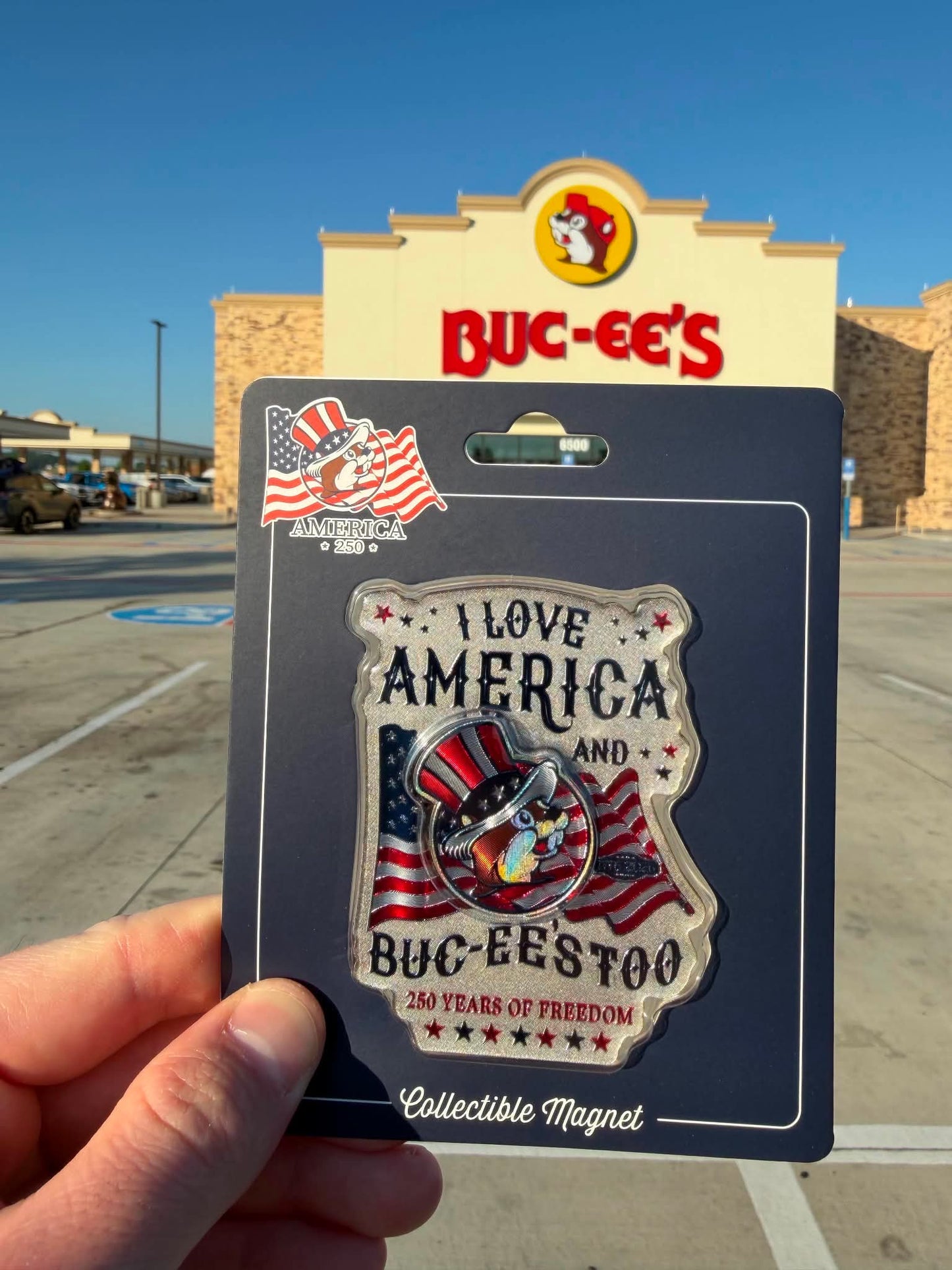 POUR DOMINIQUE (BUC-EES VIRGINIA)