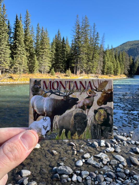 Magnet du Montana
