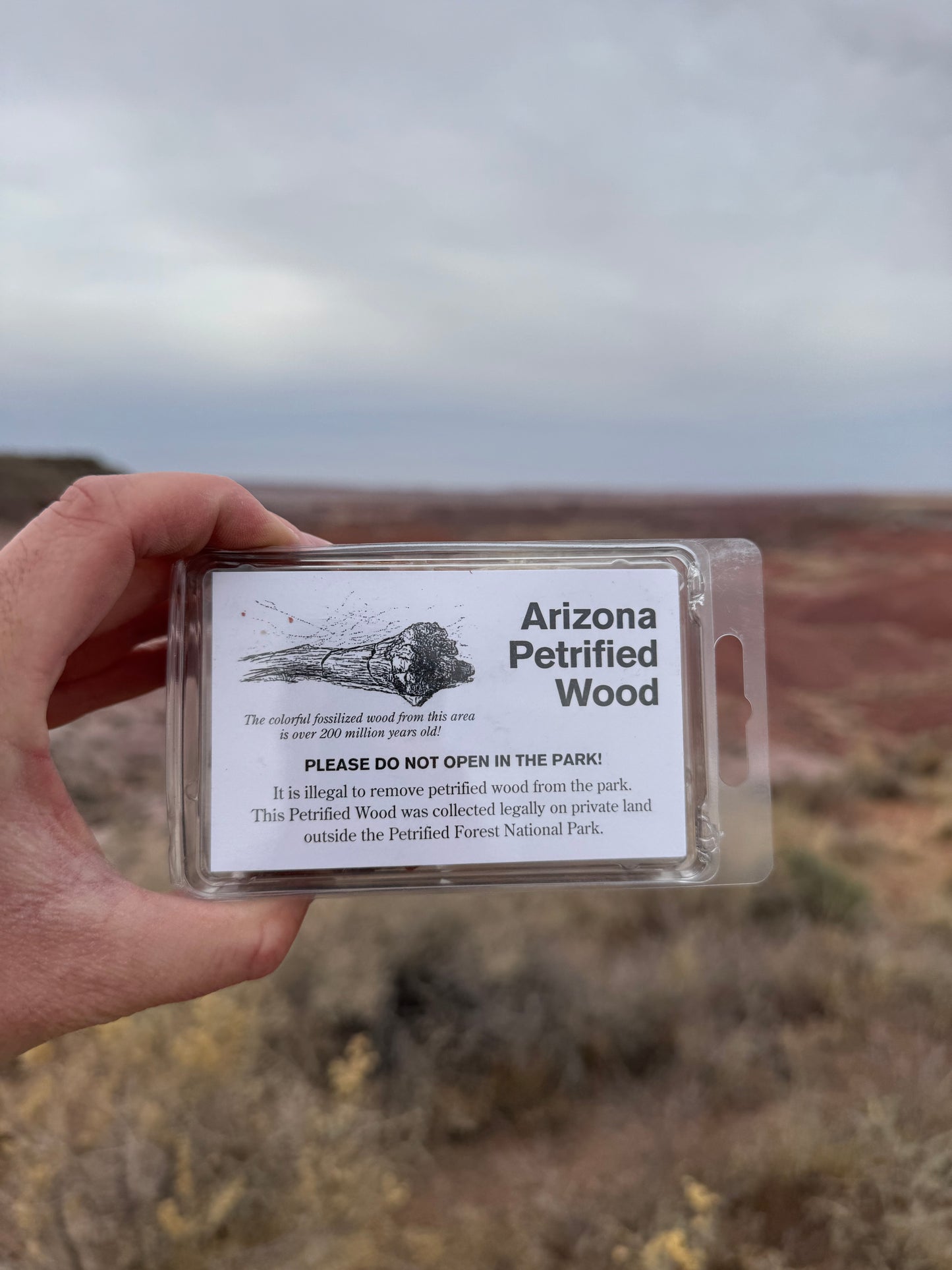 Boîte de véritable bois pétrifié provenant d’Arizona