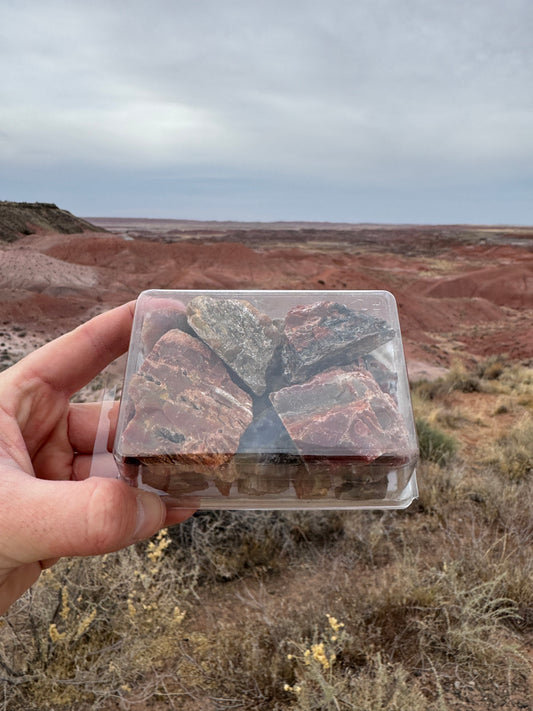 Boîte de véritable bois pétrifié provenant d’Arizona