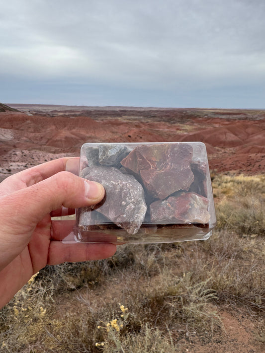 Boîte de véritable bois pétrifié provenant d’Arizona