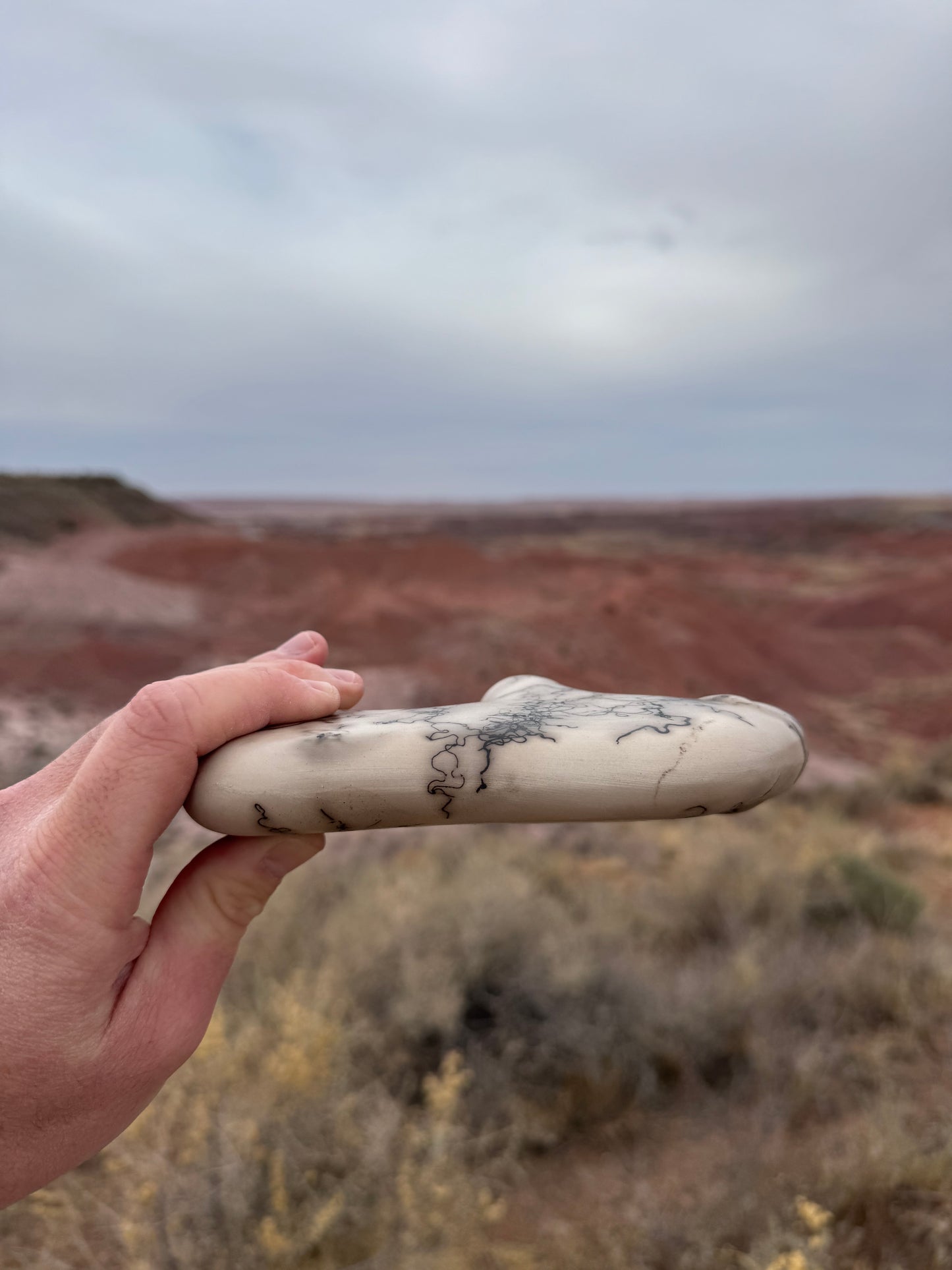 Bison Poterie Navajo authentique provenant de Gallup (Nouveau-Mexique)
