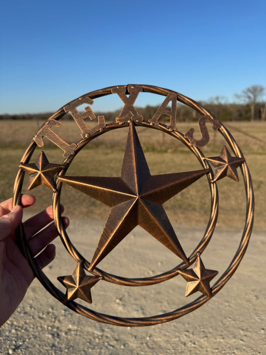 Plaque en métal Texas (30 cm)